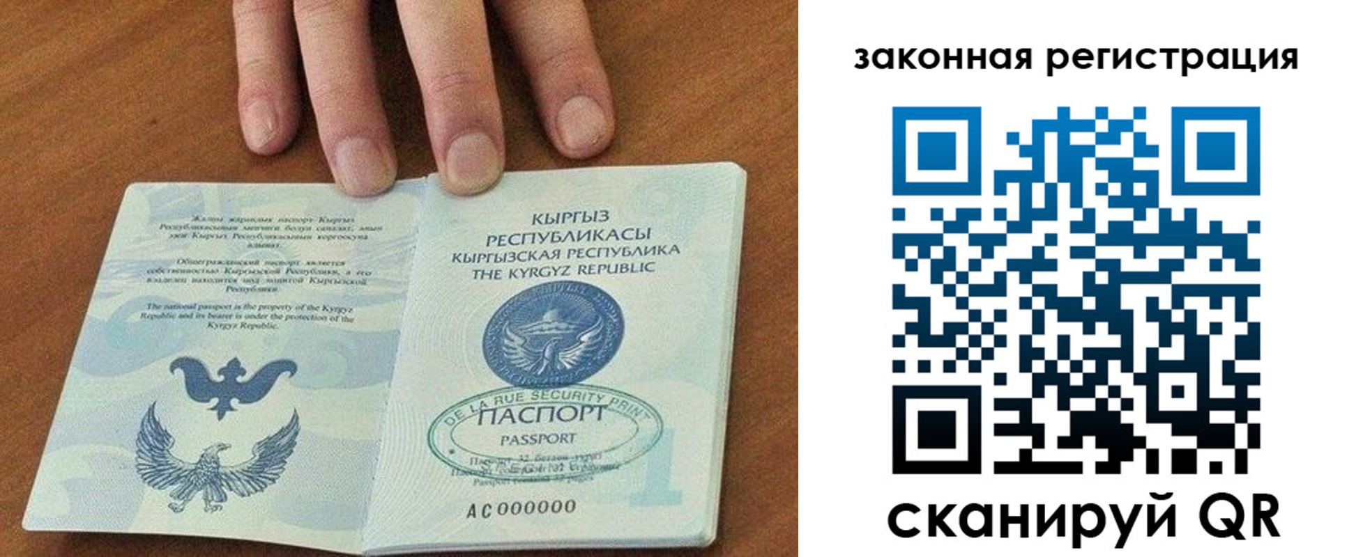 прописка гарантия в Раменском